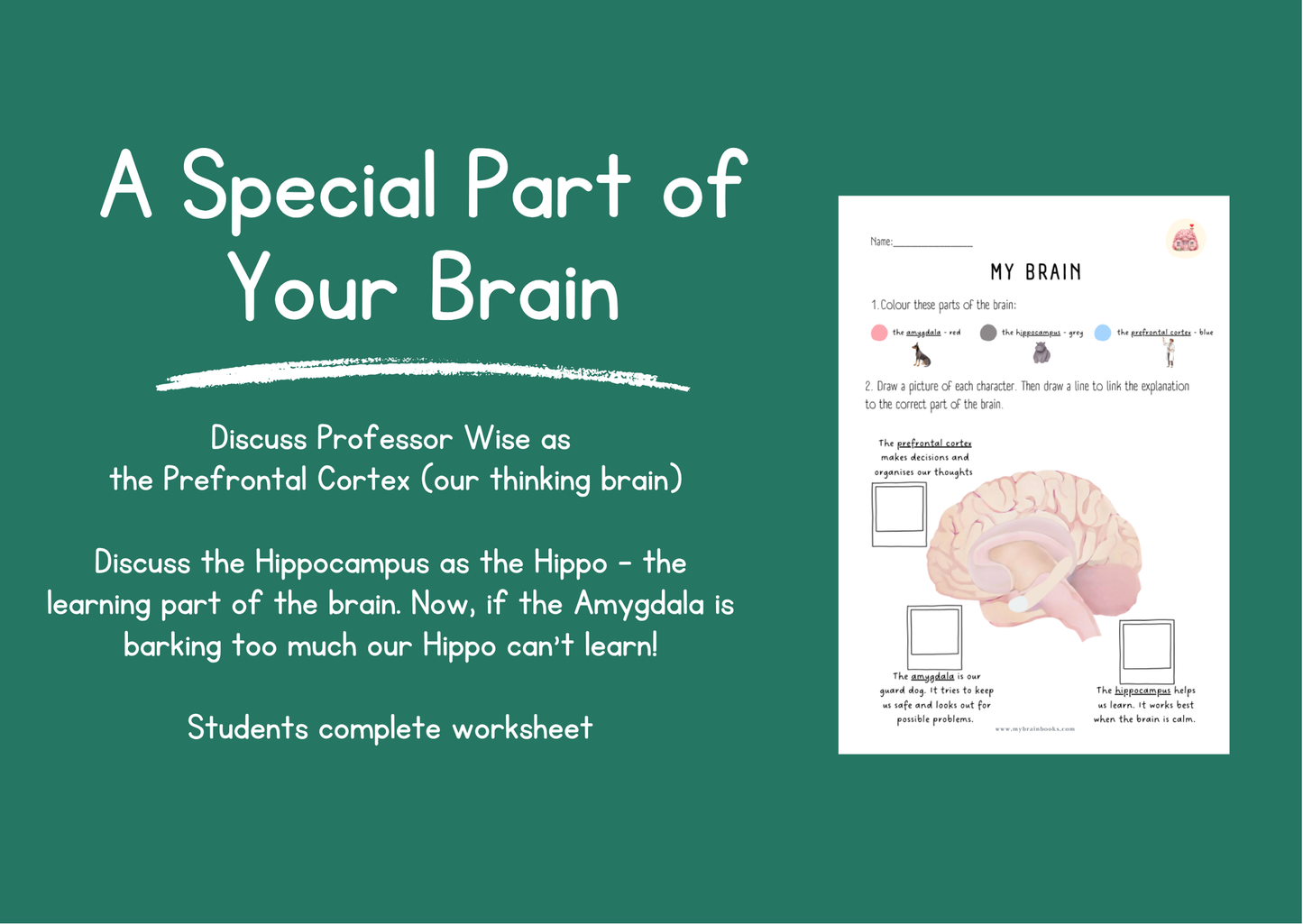 Lesson Package- Powerpoint, Activities & Worksheets
