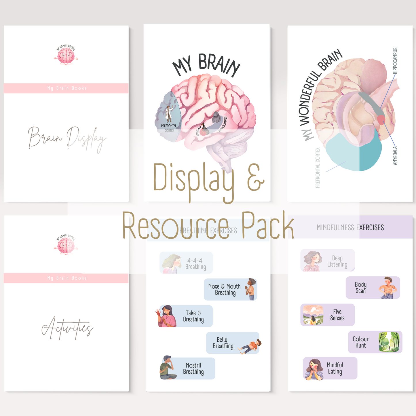 Resource/Display Pack (Digital Download)