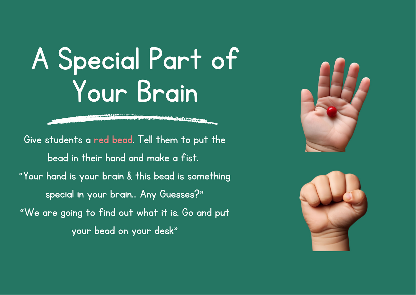Lesson Package- Powerpoint, Activities & Worksheets