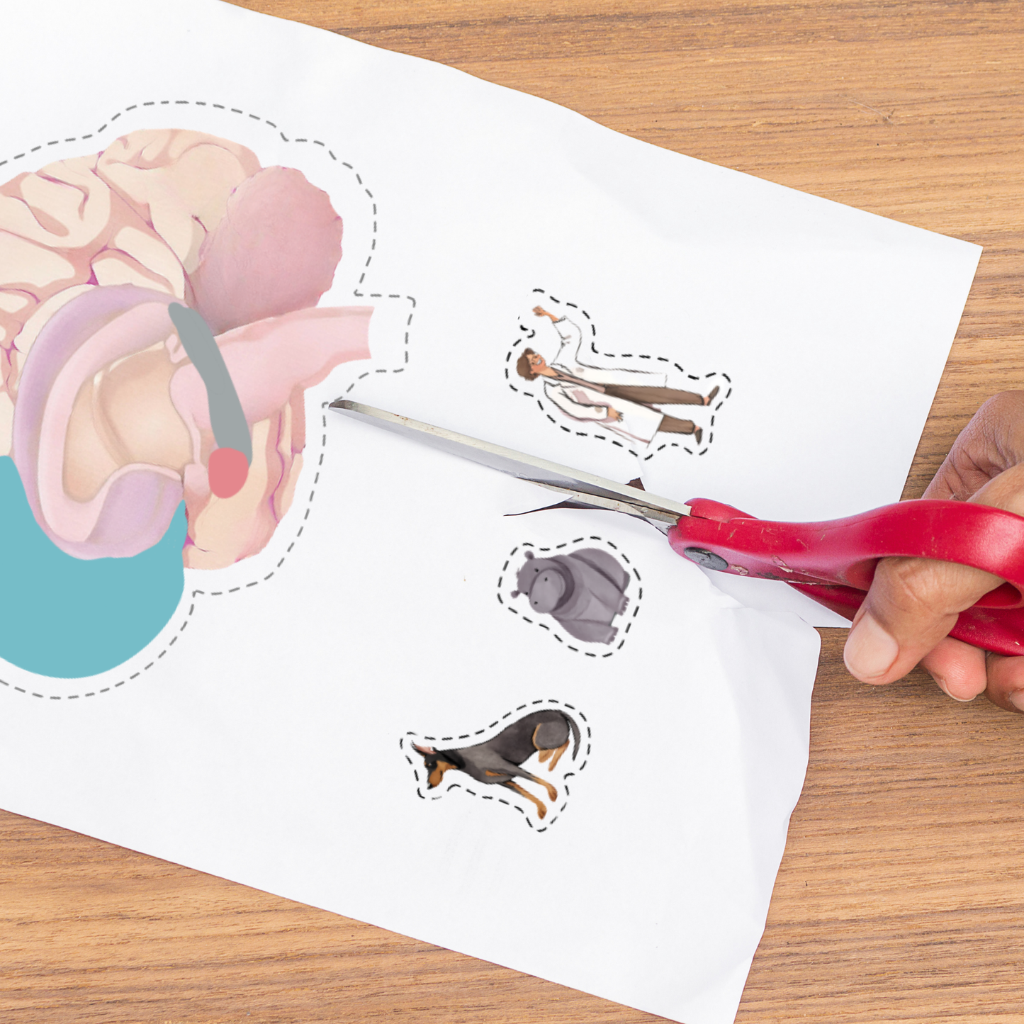 My Brain Book EOFY Classroom Package