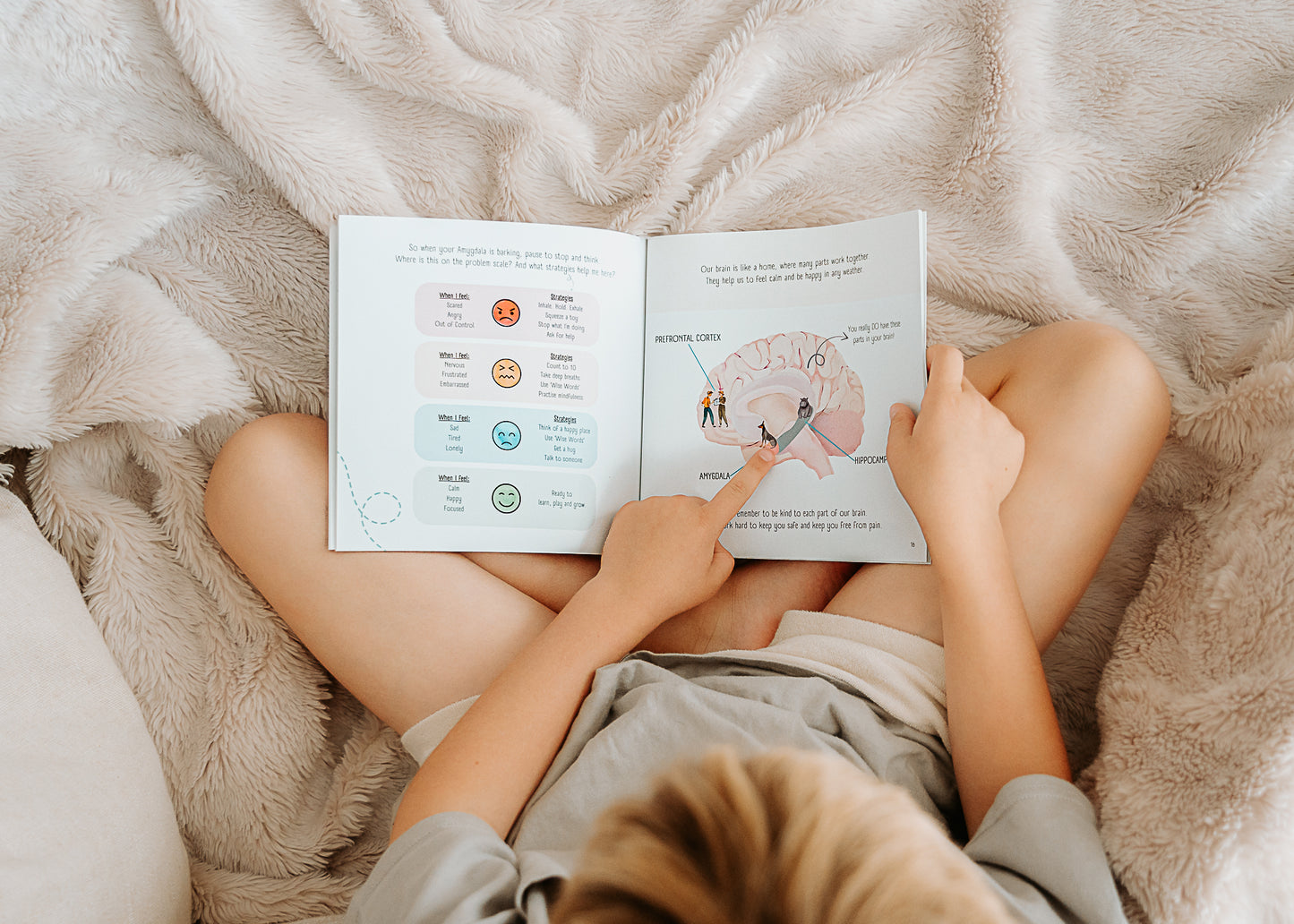 My Brain Book Bundle