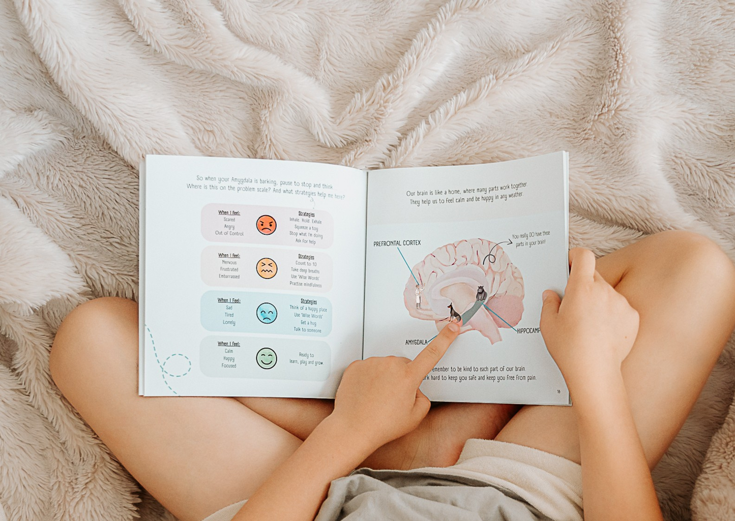 Book Bundle + My Different Brain