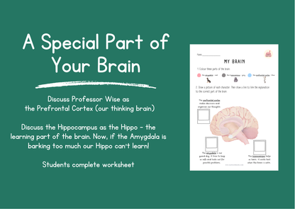 Lesson Package- Powerpoint, Activities & Worksheets