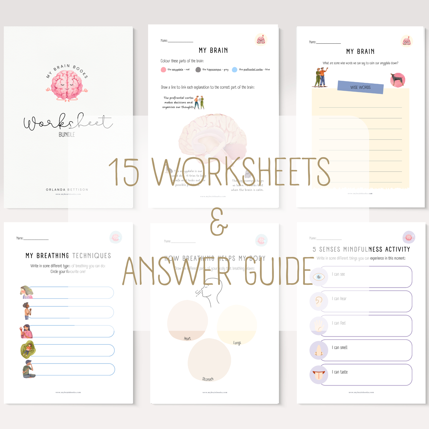 Worksheet Bundle (Digital Download)
