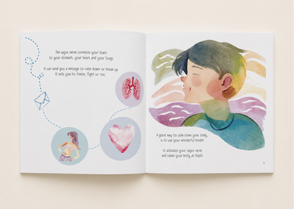 My Brain Book Bundle (4 Book Bundle)