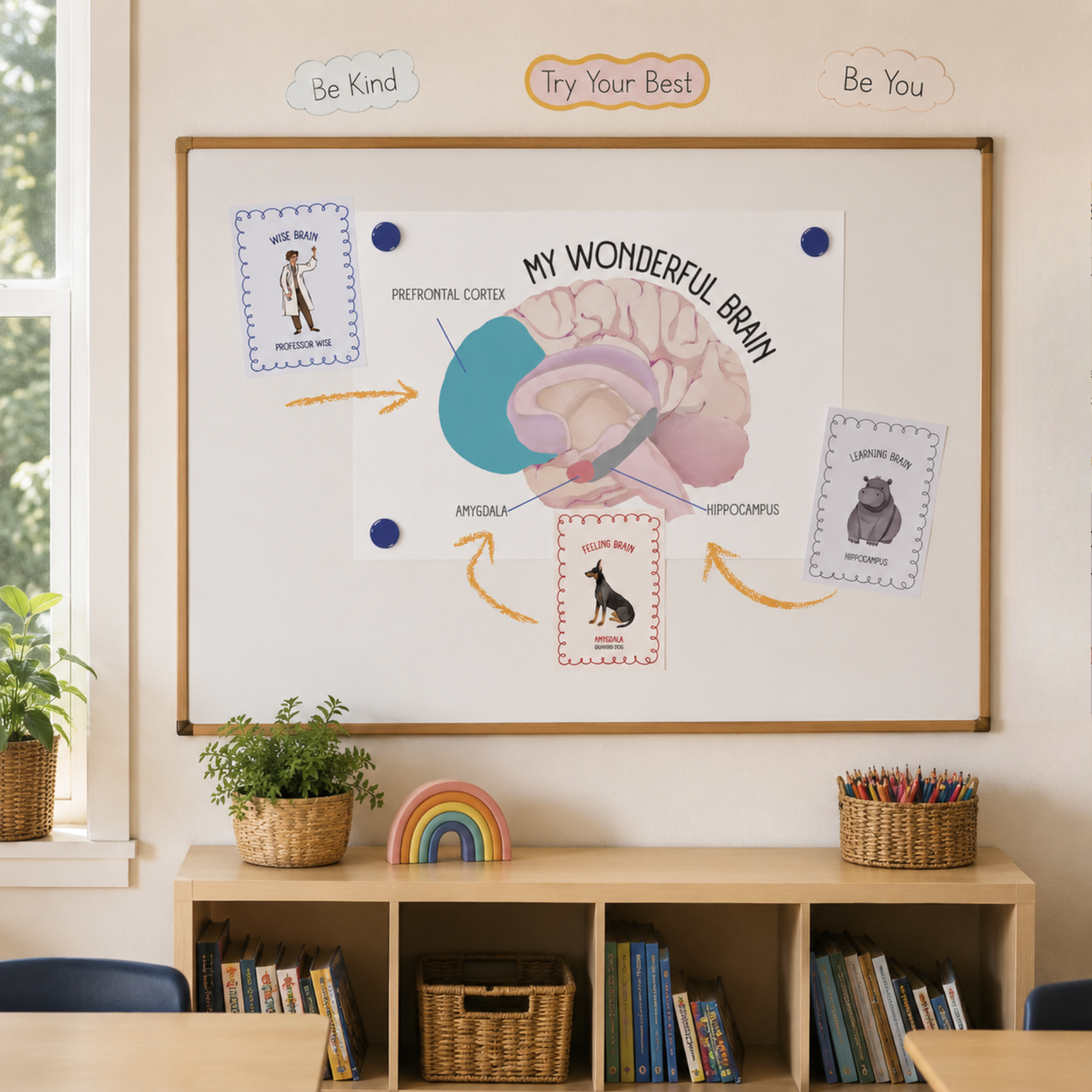 Resource/Display Pack (Digital Download)