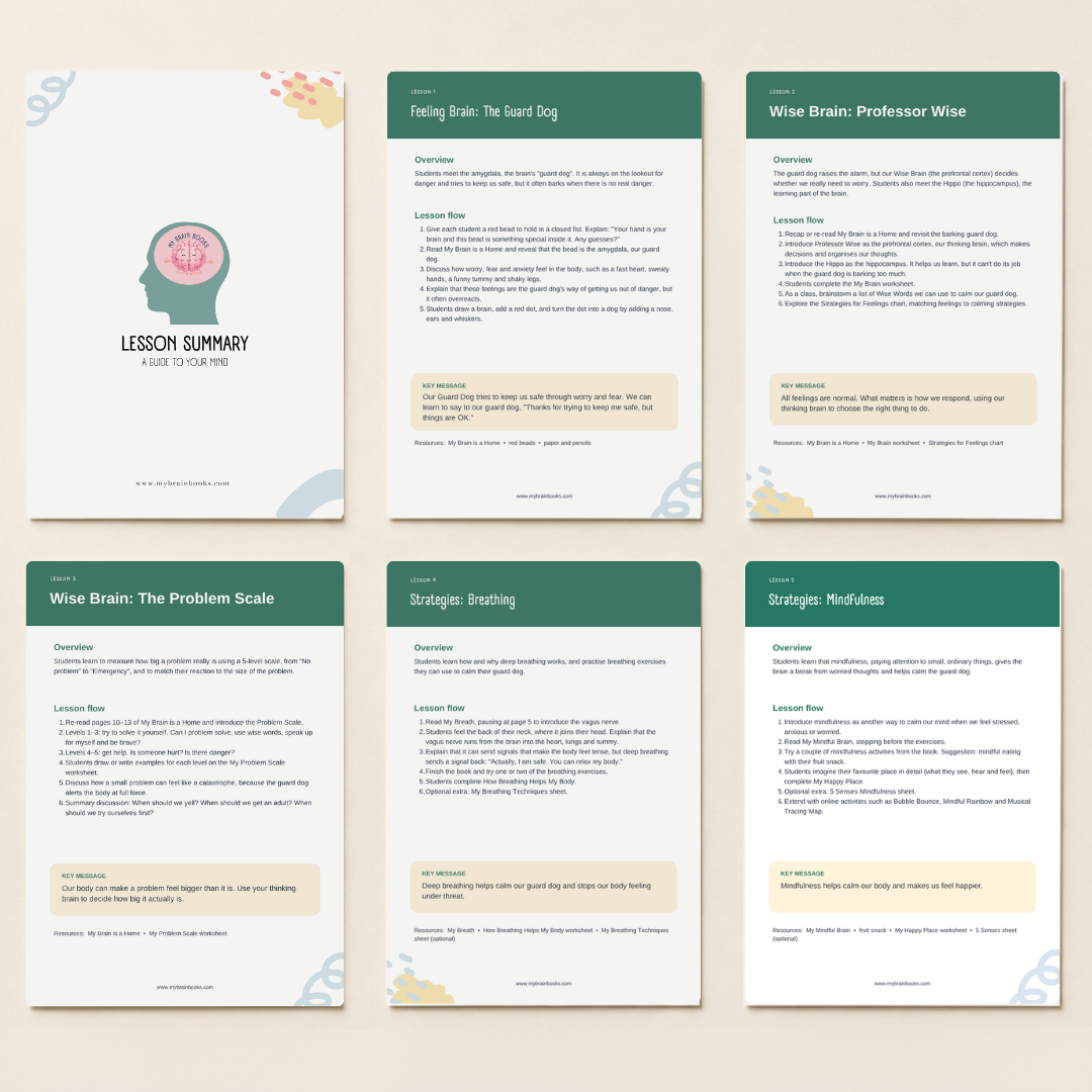 Lesson Package- Powerpoint, Activities & Worksheets