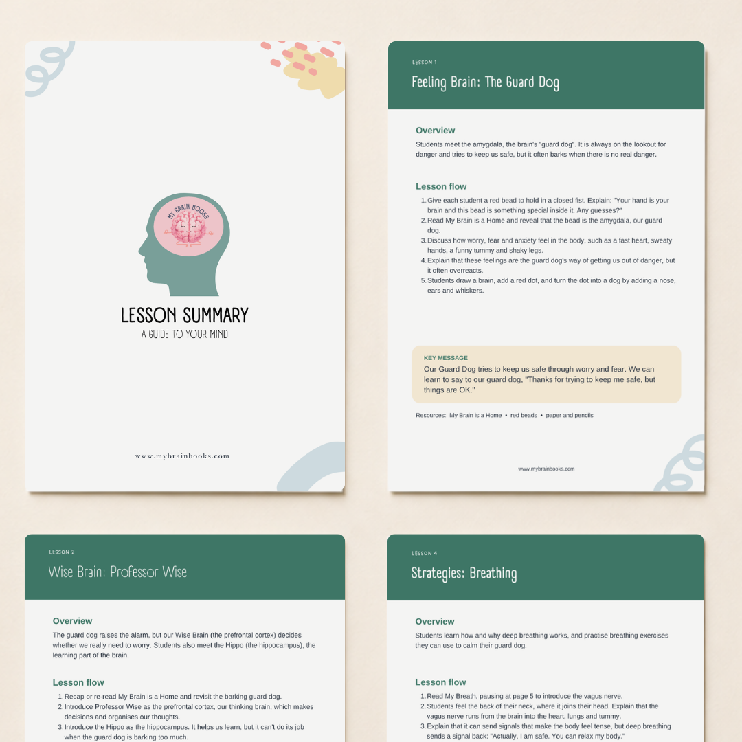 Lesson Package- Powerpoint, Activities & Worksheets