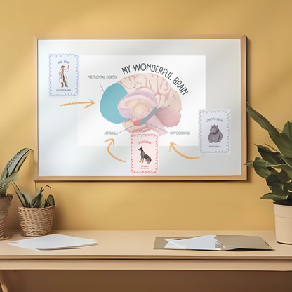 My Brain Book EOFY Classroom Package
