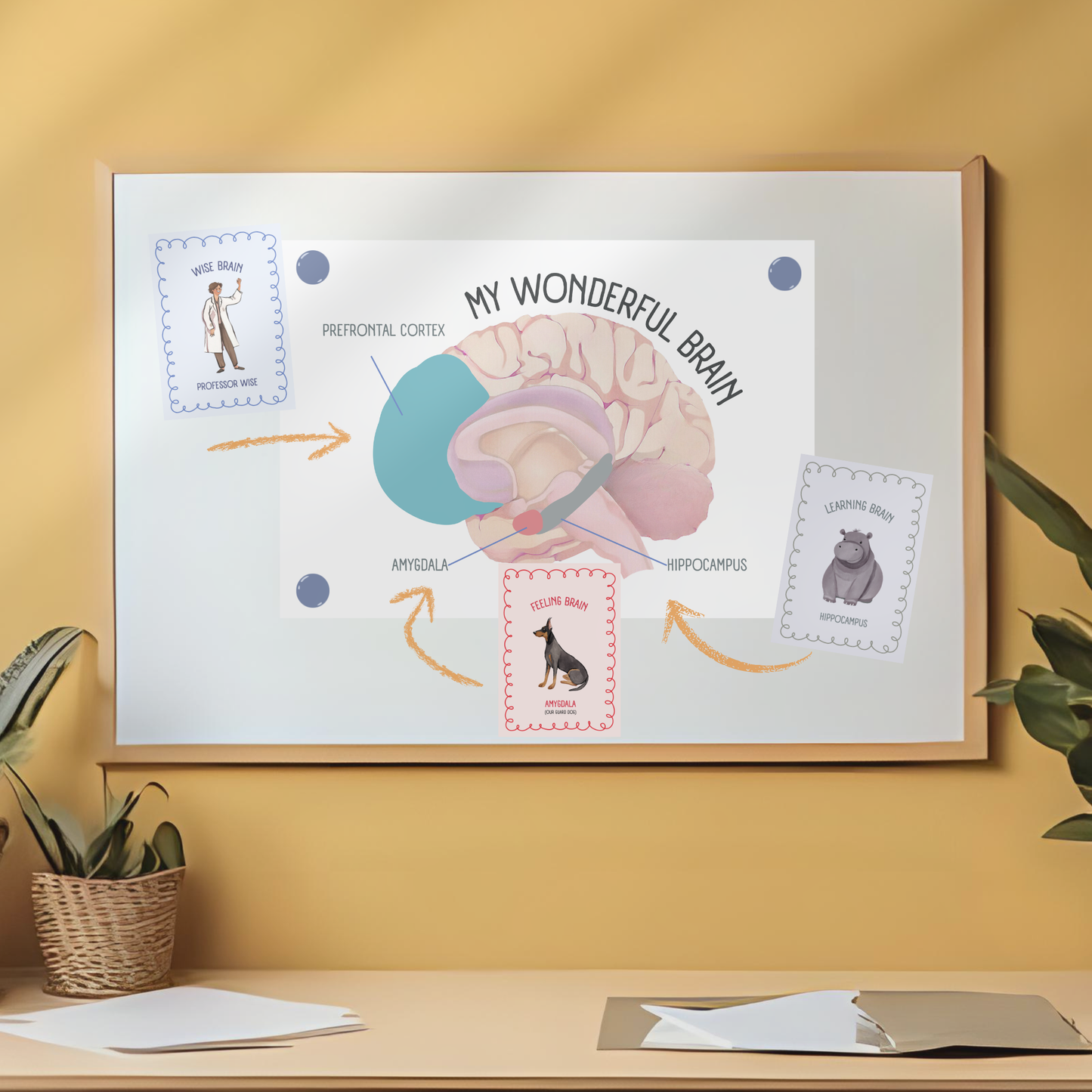 Resource/Display Pack (Digital Download)