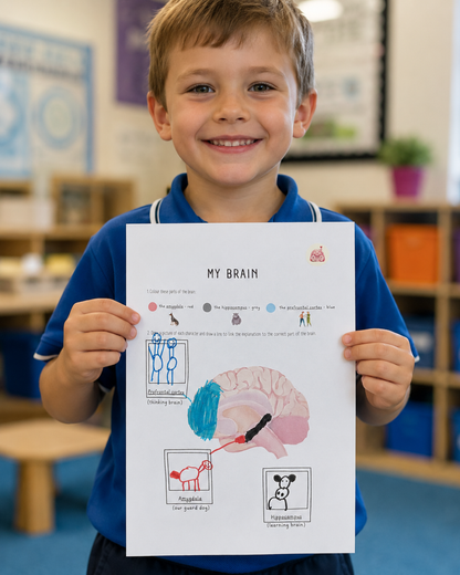Lesson Package- Powerpoint, Activities & Worksheets